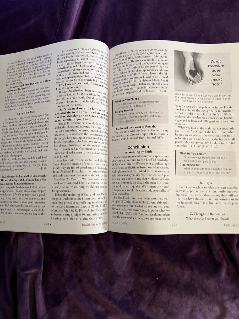 Standard Lesson Comm Ser.: NIV® Standard Lesson Commentary® Large Print Edition - Picture 5 of 10